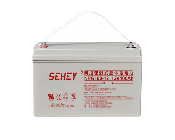 SEHEYNPG100-12D